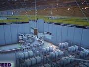 FlyFeed - Tận dụng côn trùng để giải quyết cuộc khủng hoảng lương thực